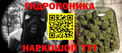 гидра Беслан