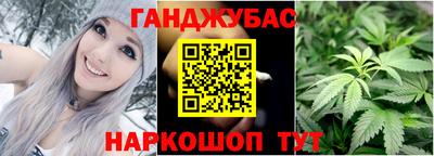 Альфа ПВП Бийск